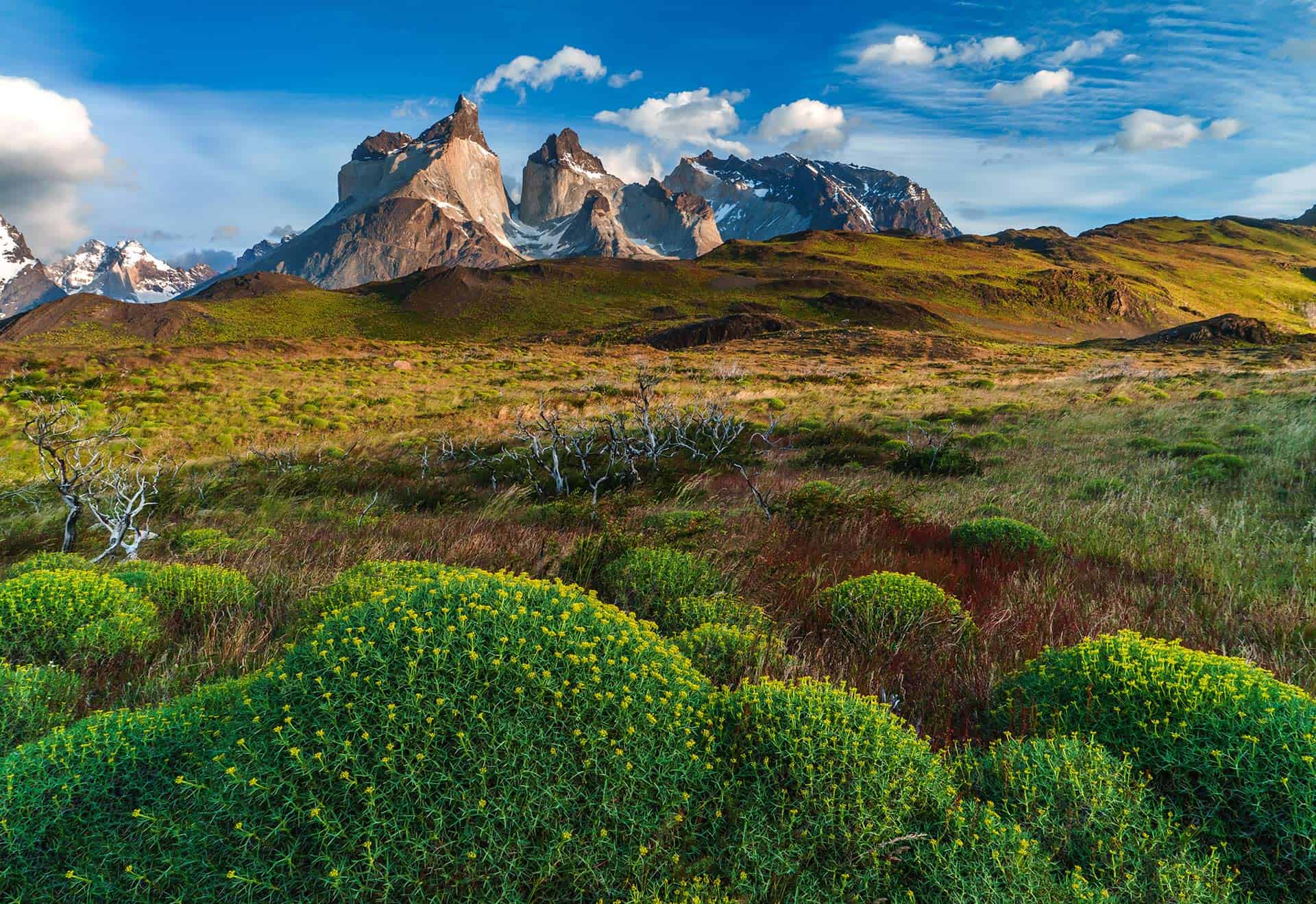 Trekking Torres del Paine