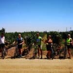 Chile Wine and Cycling Tour