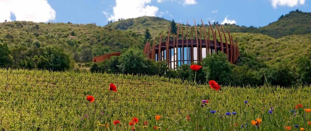 Clos Apalta and Montes Tour