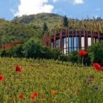 Clos Apalta and Montes Tour